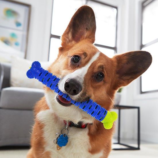 Meatball.ThatDailyDeal EXTREME SGD Chew Brush for Dogs Works