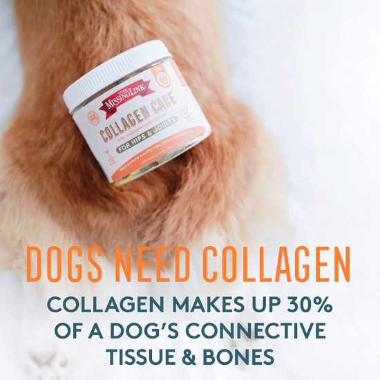 Meatball.ThatDailyDeal - EXTREME SGD - Collagen Care Dog Soft Chews for