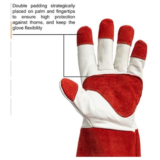 Meatball.ThatDailyDeal EXTREME SGD Unique Extra Long Puncture