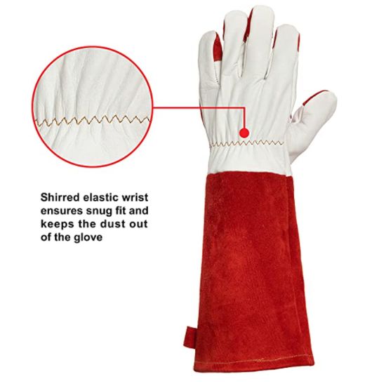 Meatball.ThatDailyDeal EXTREME SGD Unique Extra Long Puncture