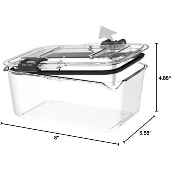 Meatballs Container Meatball.ThatDailyDeal - EXTREME SGD - VERY HIGH END - SEE VIDEO BELOW ...